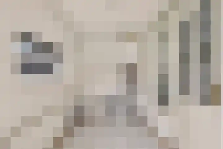 Veldstraat 30 Didam thumbnail 11