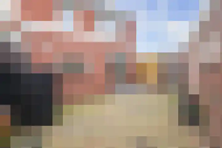 Veldstraat 30 Didam thumbnail 16