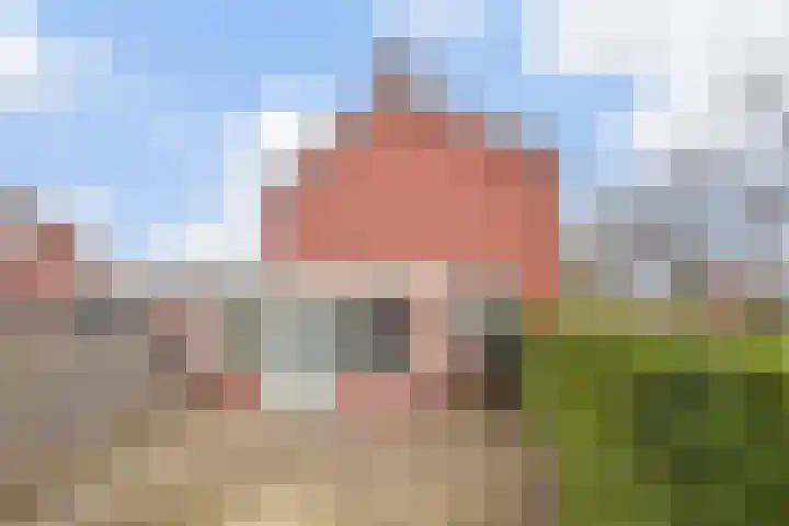Veldstraat 30 Didam thumbnail 17