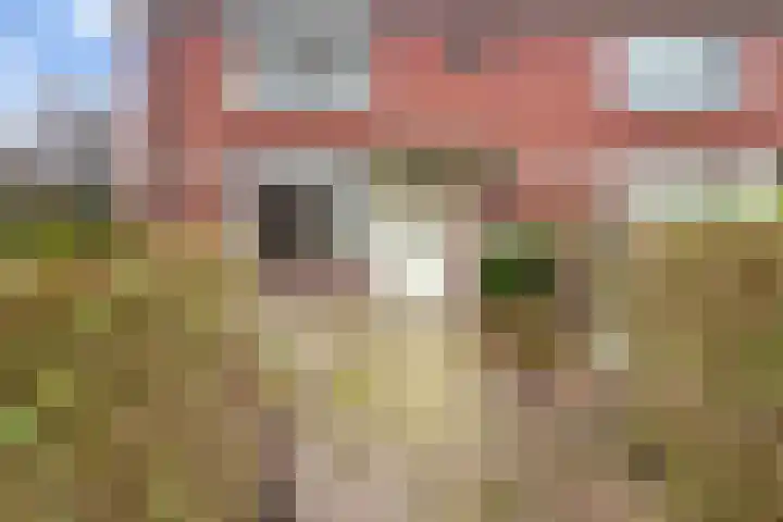 Veldstraat 30 Didam thumbnail 25