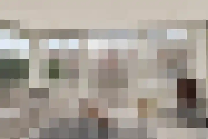 Veldstraat 30 Didam thumbnail 5