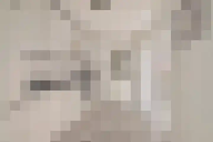 Veldstraat 30 Didam thumbnail 9