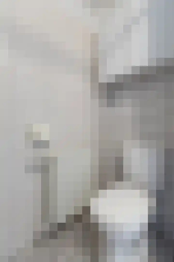 Veldstraat 44 Duiven thumbnail 32