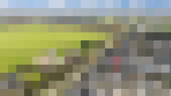 Veldstraat 44 Duiven thumbnail 4