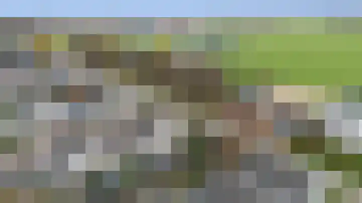 Veldstraat 44 Duiven thumbnail 47