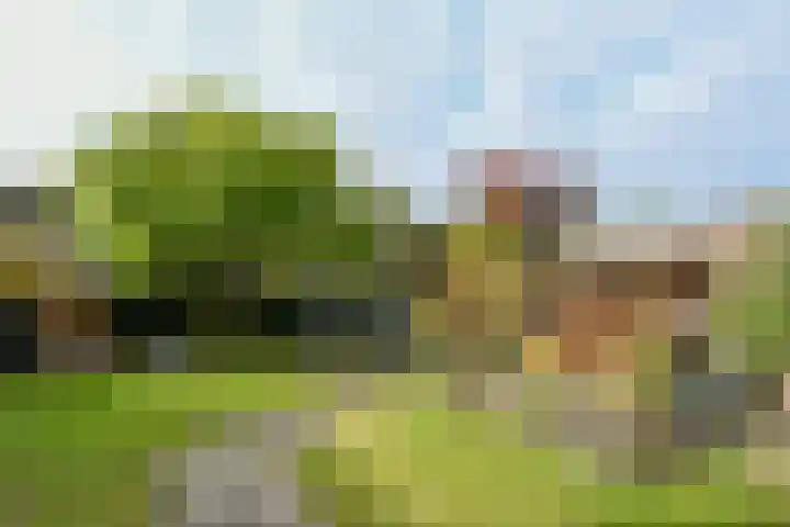 Veldstraat 48 Helden thumbnail 32