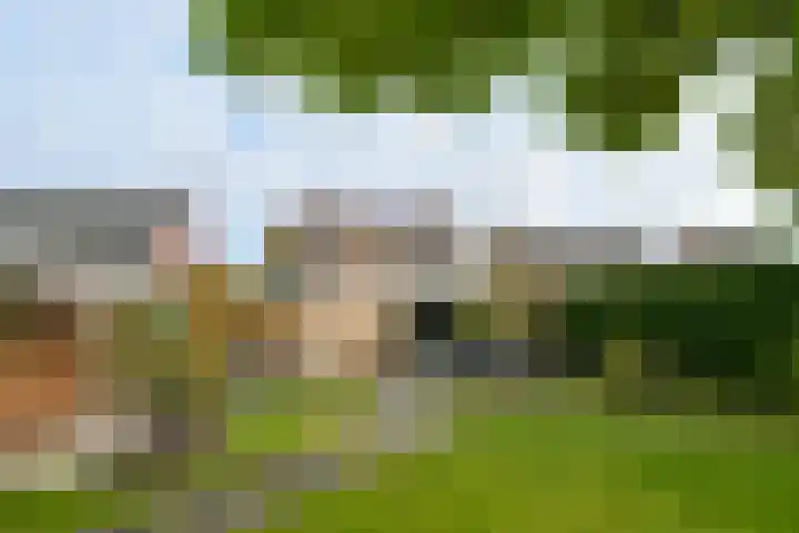 Veldstraat 48 Helden thumbnail 36