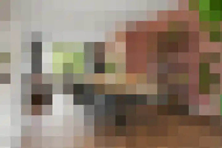 Veldstraat 48 Helden thumbnail 9