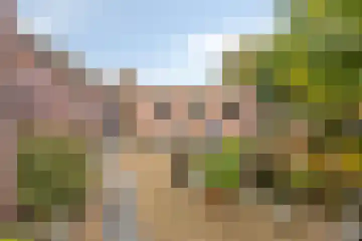 Veldstraat 51 Zundert thumbnail 55