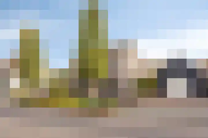 Veldstraat 51 Zundert thumbnail 8