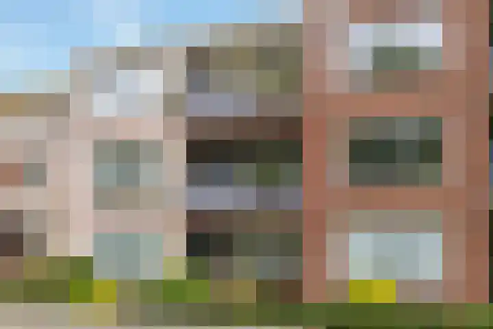 Velduil 11 Raalte