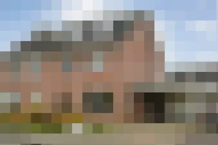 Velduil 18 Raalte