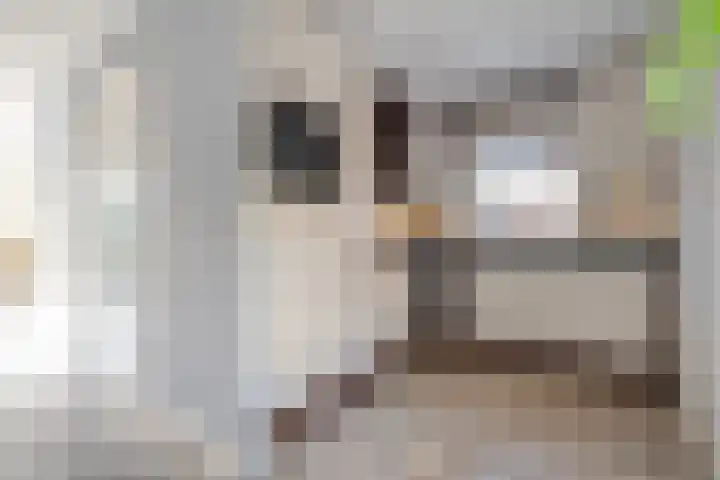 Velduil 22 Raalte thumbnail 12