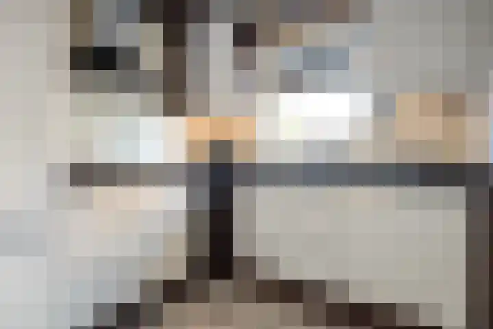 Velduil 22 Raalte thumbnail 13