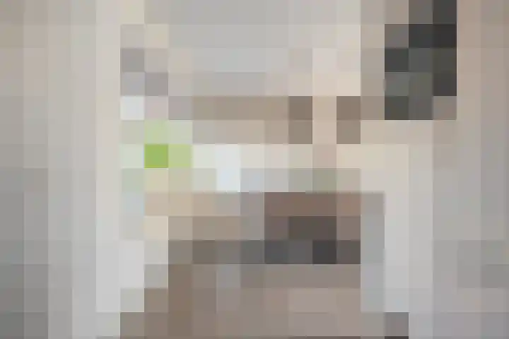 Velduil 22 Raalte thumbnail 14
