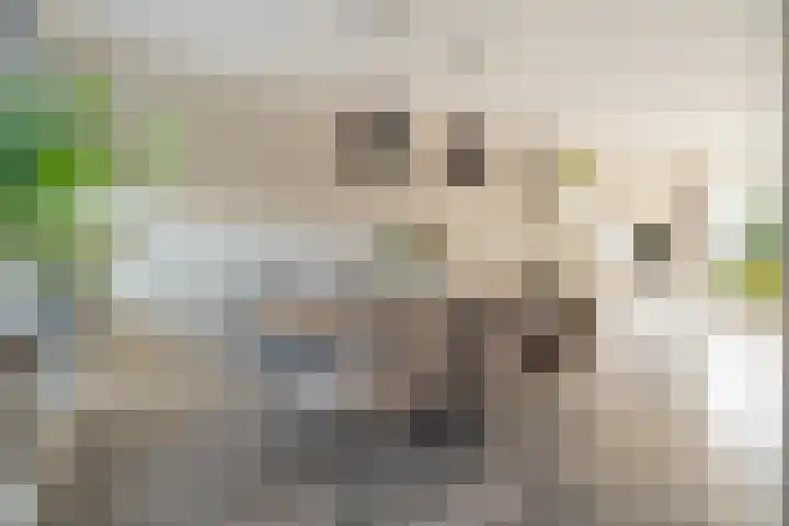 Velduil 22 Raalte thumbnail 15