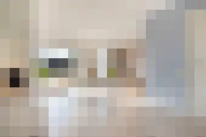 Velduil 22 Raalte thumbnail 16