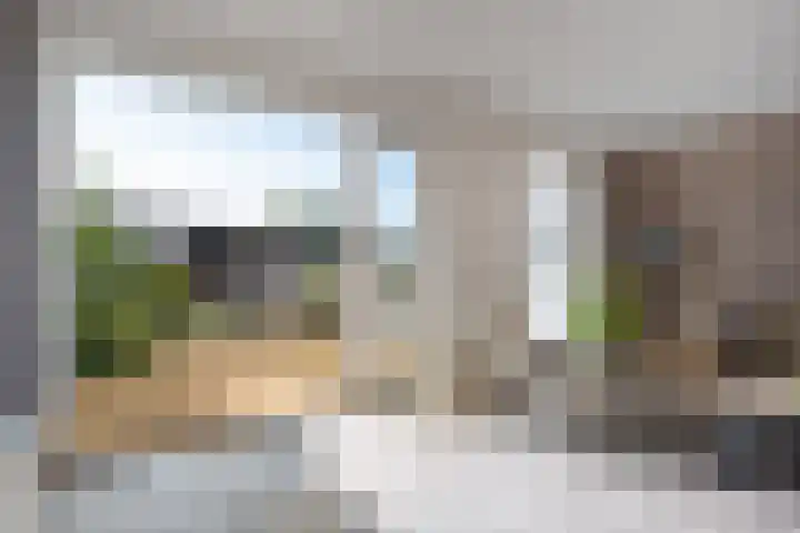 Velduil 22 Raalte thumbnail 20