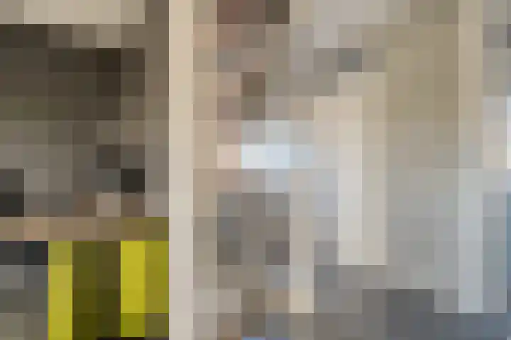 Velduil 22 Raalte thumbnail 21