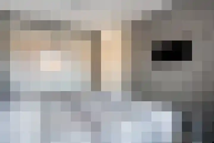 Velduil 22 Raalte thumbnail 27