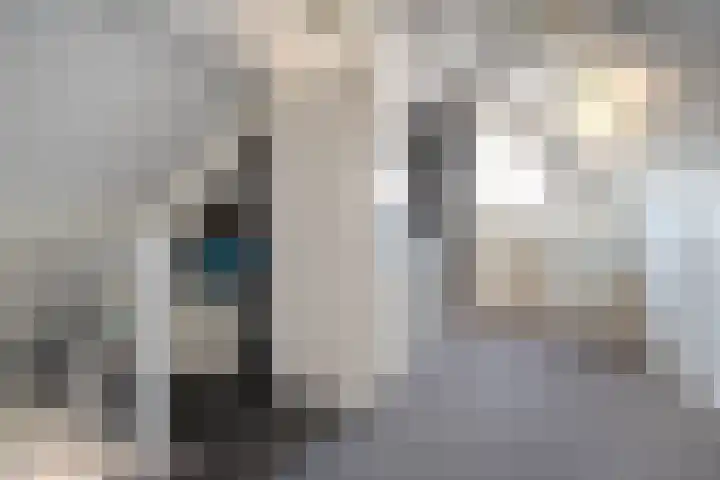 Velduil 22 Raalte thumbnail 33