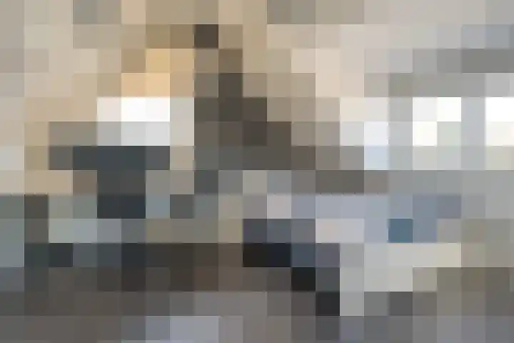 Velduil 22 Raalte thumbnail 36