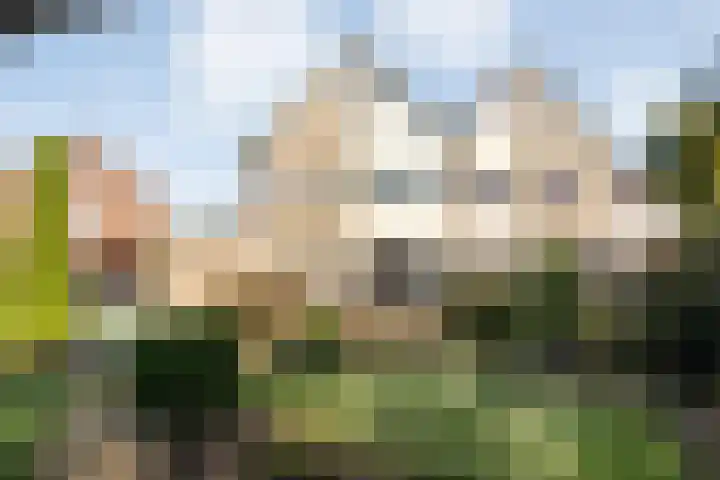 Velduil 22 Raalte thumbnail 38