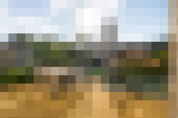 Velduil 22 Raalte thumbnail 40