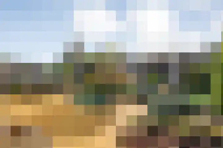 Velduil 22 Raalte thumbnail 42