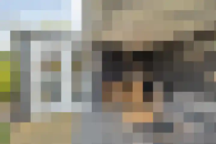 Velduil 22 Raalte thumbnail 44