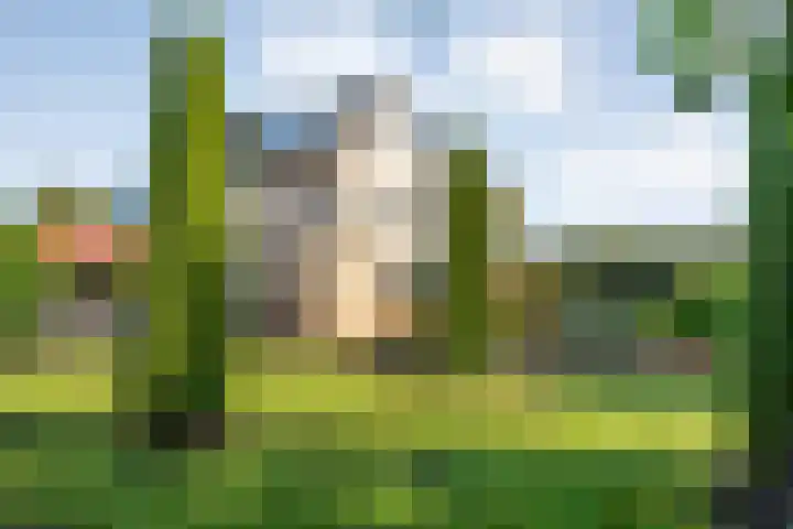 Velduil 22 Raalte thumbnail 46