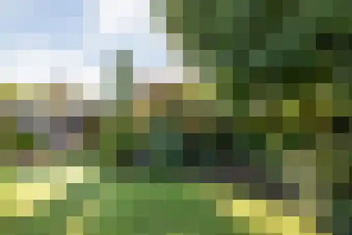 Velduil 22 Raalte thumbnail 47