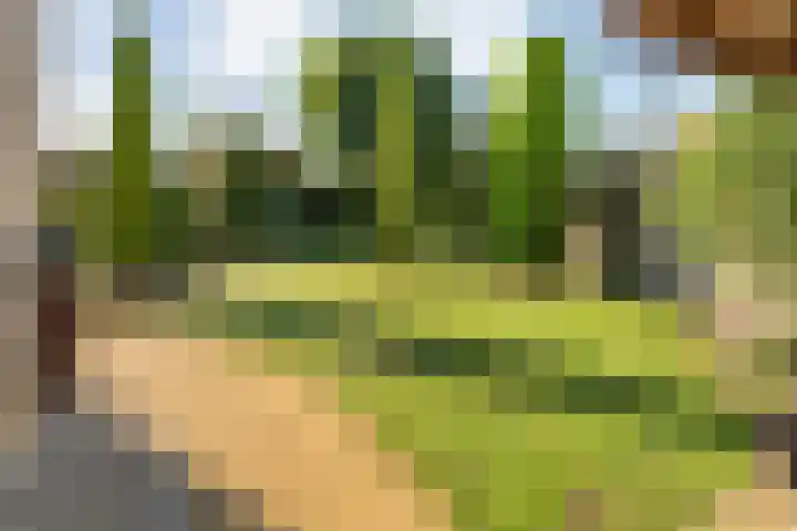 Velduil 22 Raalte thumbnail 49