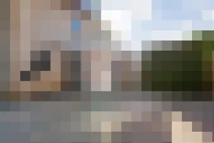 Velduil 22 Raalte thumbnail 6