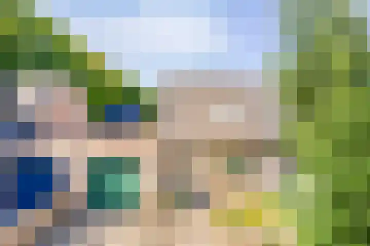 Velduil 31 Emmen thumbnail 10