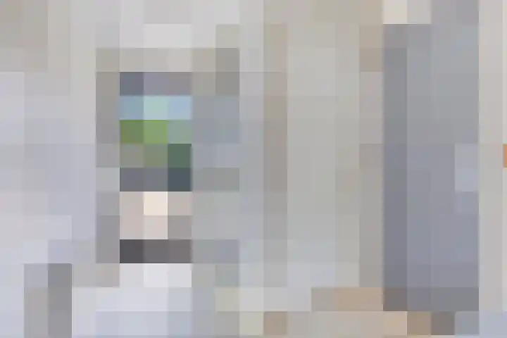 Velduil 31 Emmen thumbnail 11