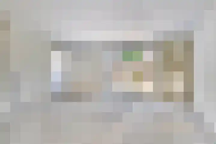 Velduil 31 Emmen thumbnail 13