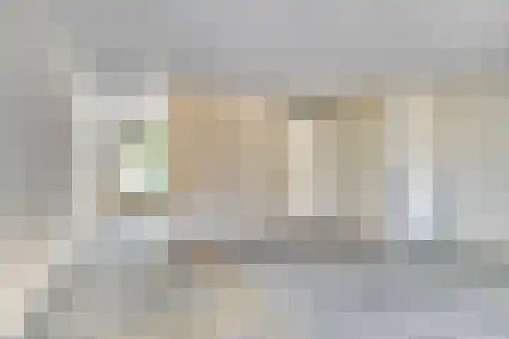 Velduil 31 Emmen thumbnail 15