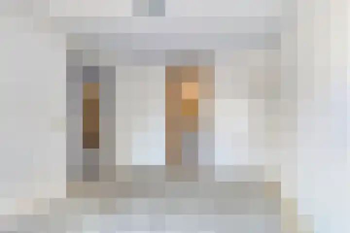 Velduil 31 Emmen thumbnail 17