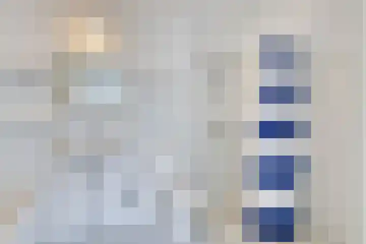 Velduil 31 Emmen thumbnail 20