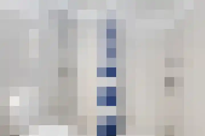 Velduil 31 Emmen thumbnail 21