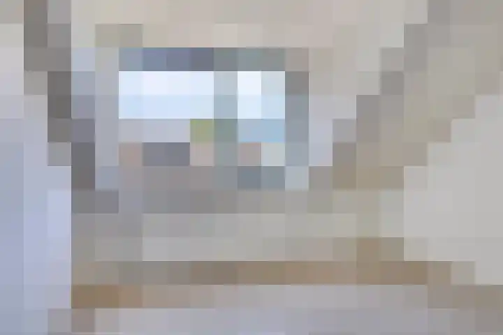 Velduil 31 Emmen thumbnail 25