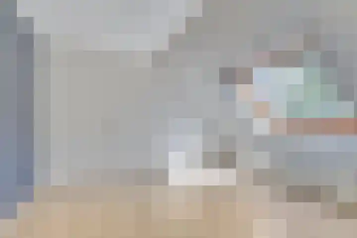 Velduil 31 Emmen thumbnail 27