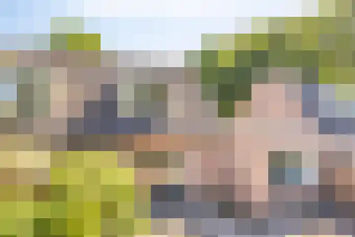 Velduil 31 Emmen thumbnail 32