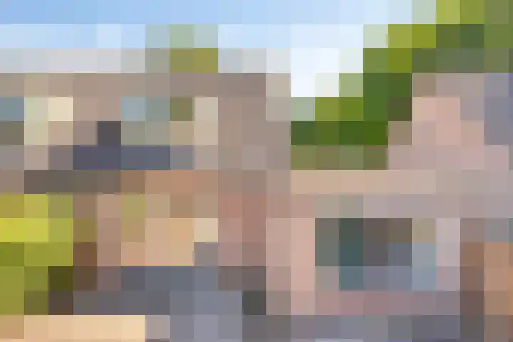 Velduil 31 Emmen thumbnail 33