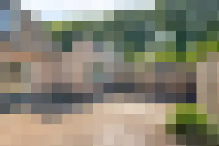 Velduil 31 Emmen thumbnail 34