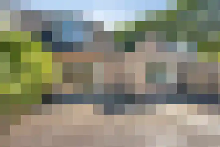 Velduil 31 Emmen thumbnail 36