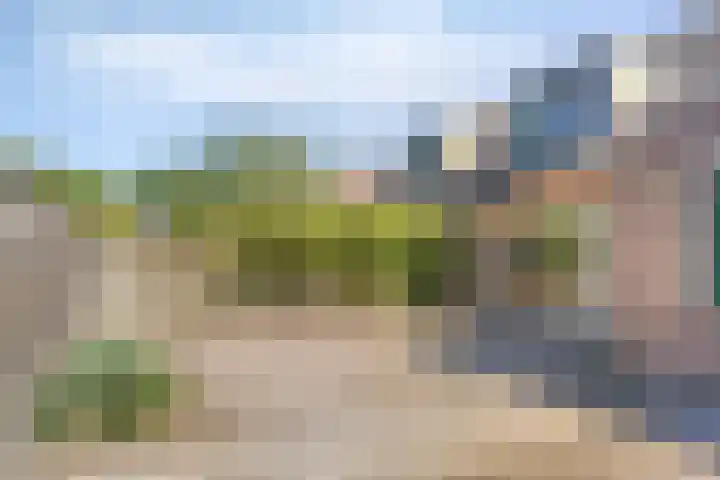 Velduil 31 Emmen thumbnail 37