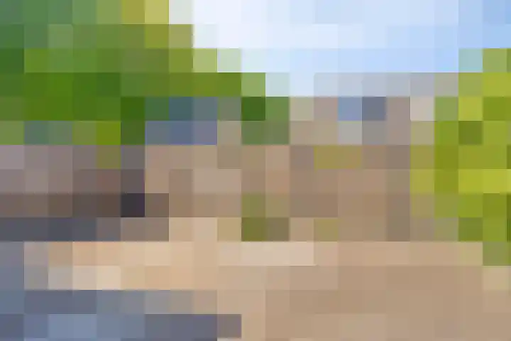 Velduil 31 Emmen thumbnail 38
