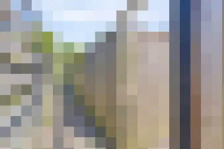 Velduil 31 Emmen thumbnail 39